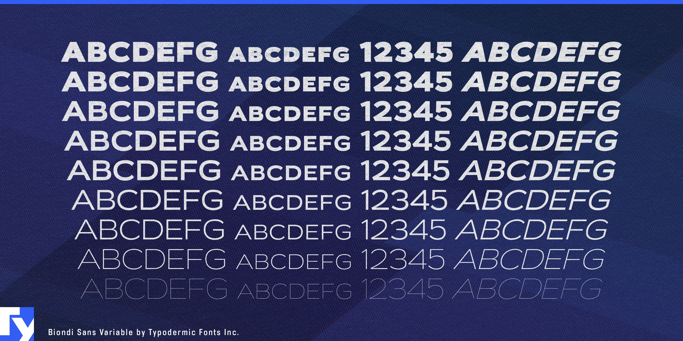Biondi Sans specimen 11