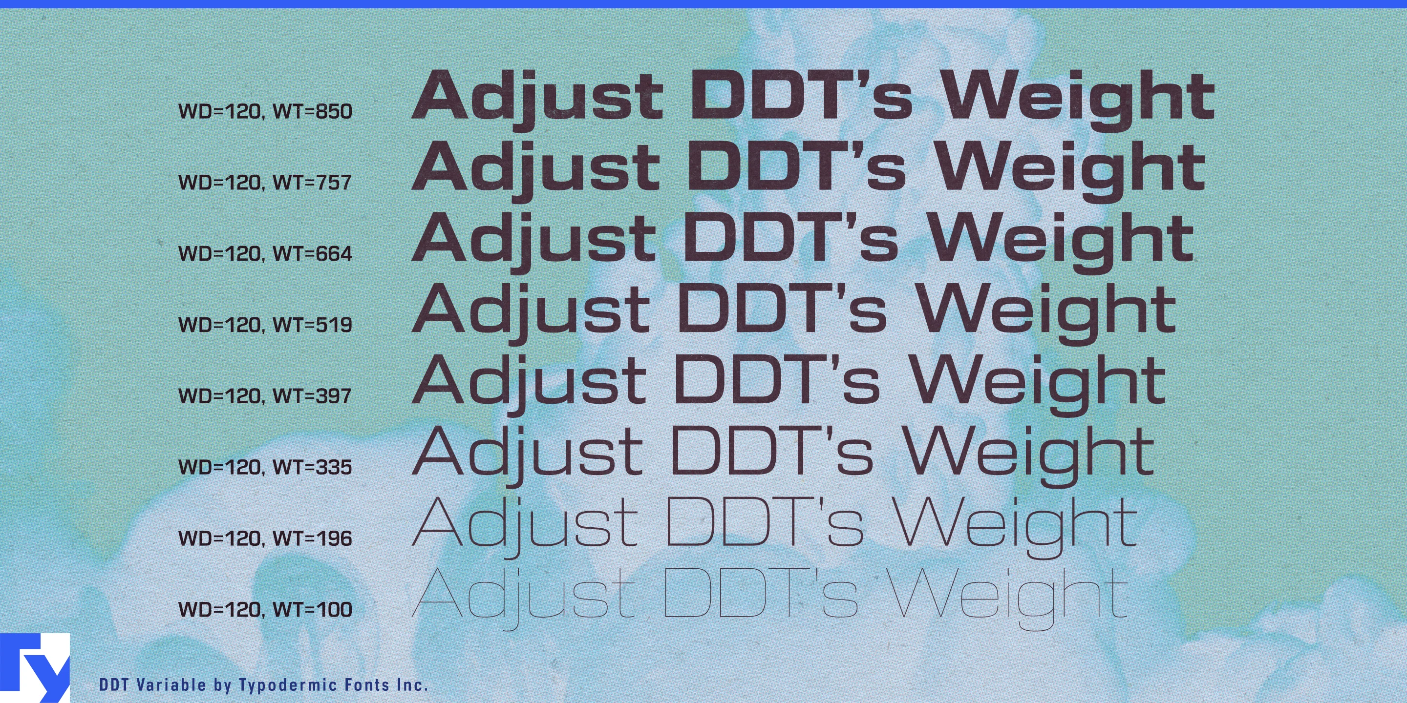 Ddtの見本 9