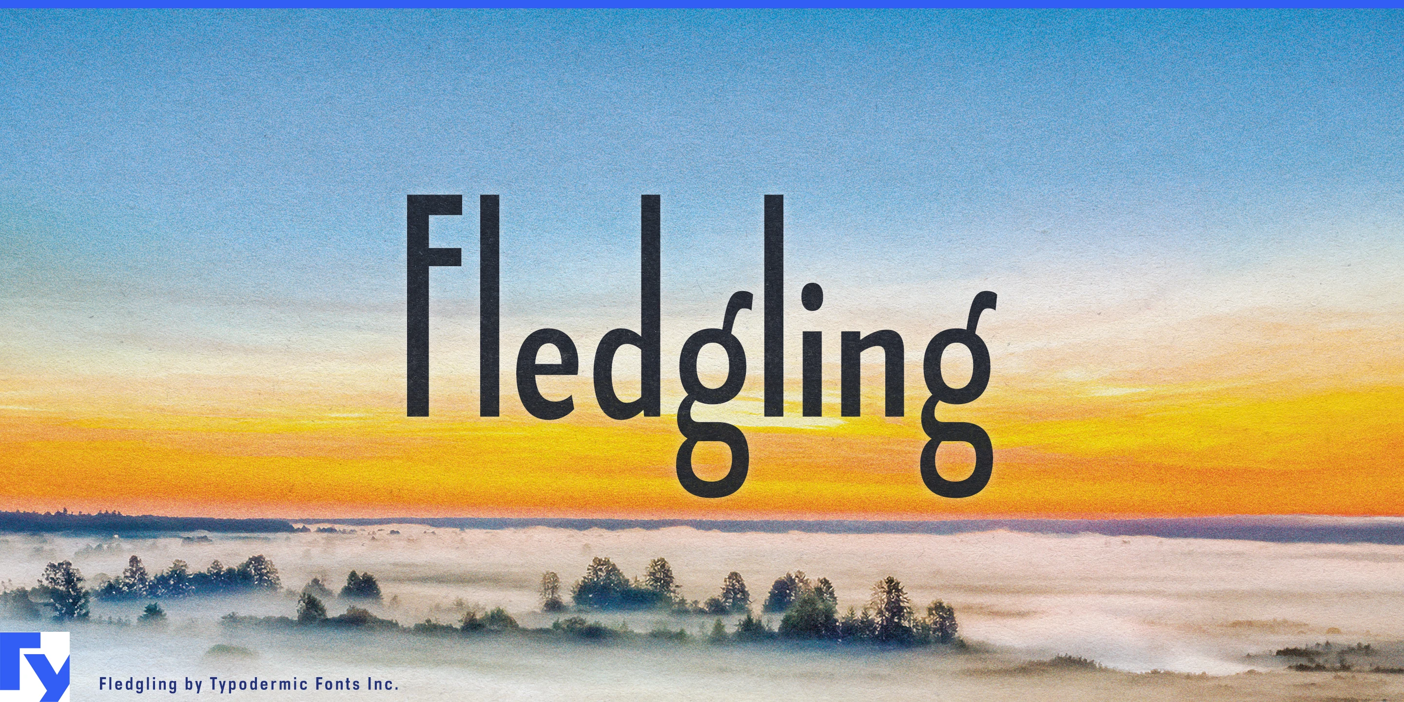 Fledgling specimen 1