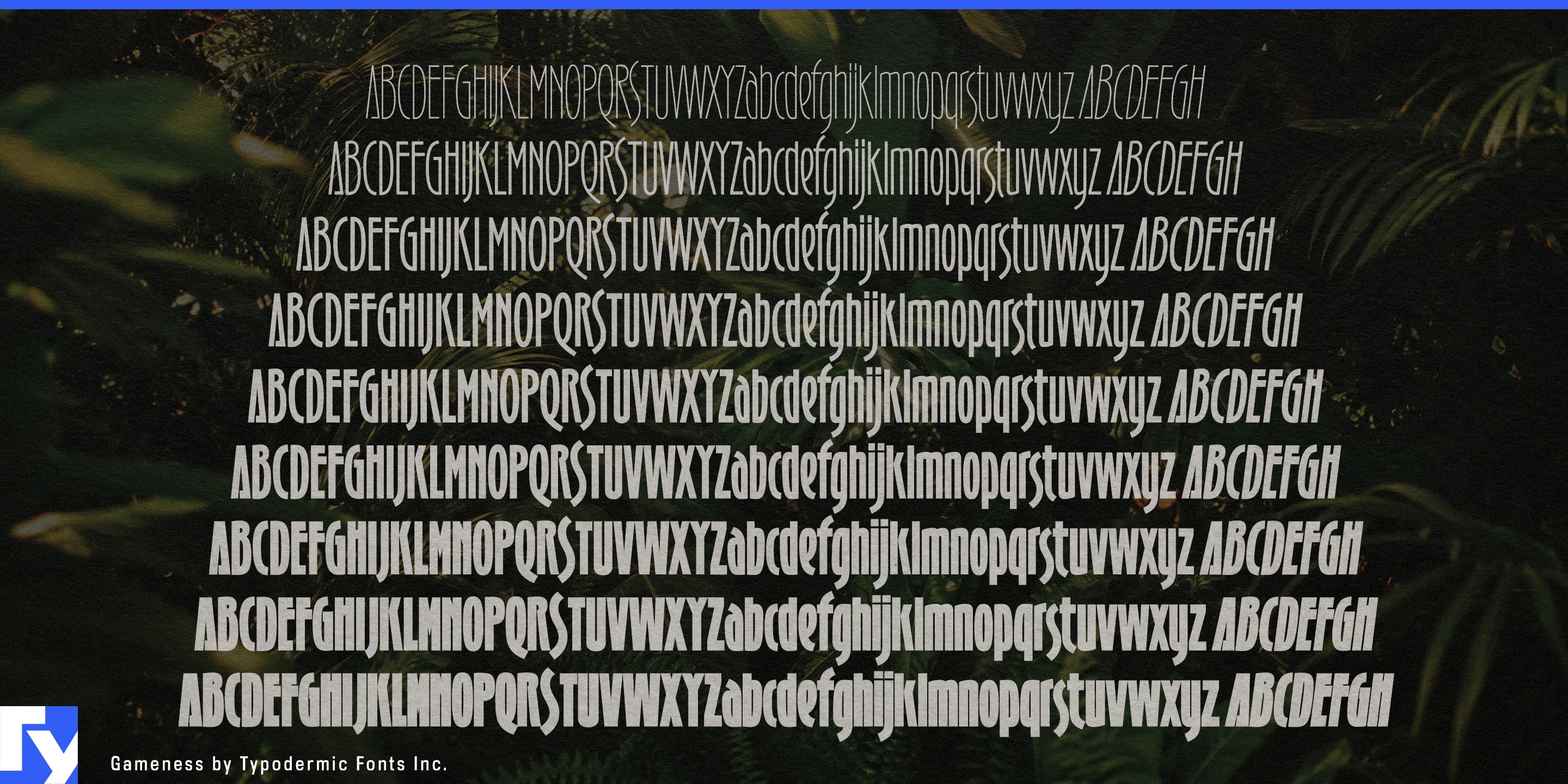Schriftmuster 4 von Gameness