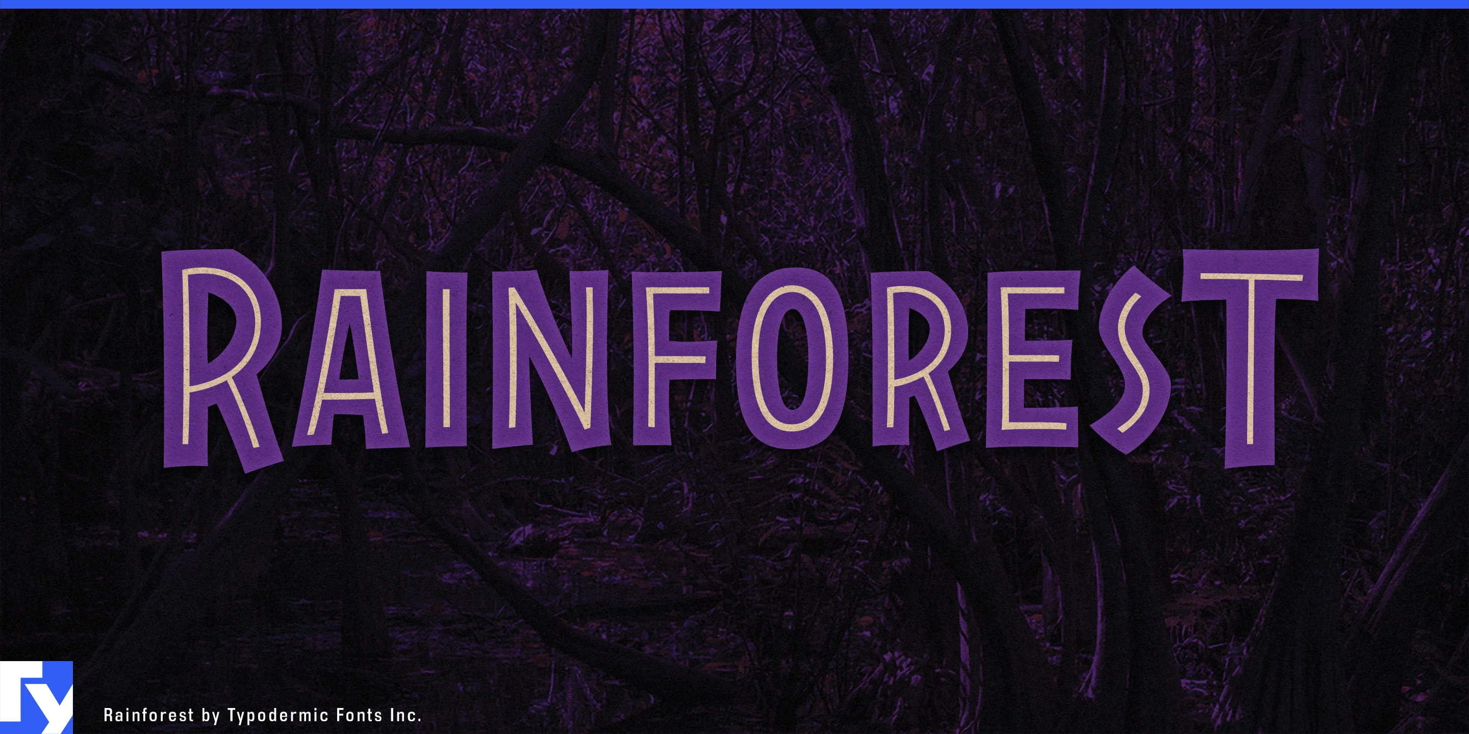 Rainforestの見本 1