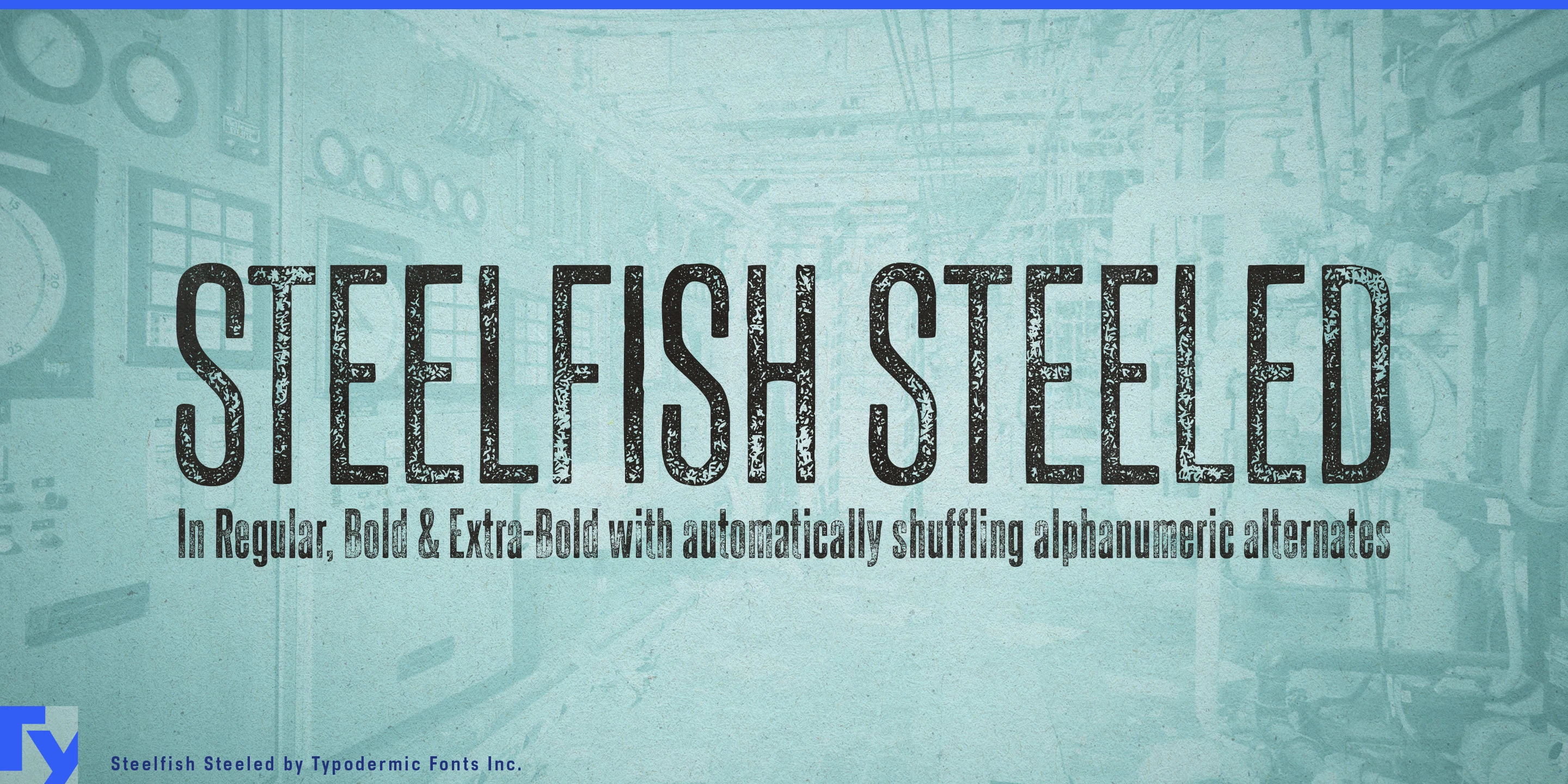 Steelfish Steeled specimen 1